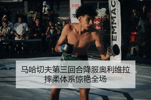 ma-ha-qie-fu-di-san-hui-he-xiang-fu-ao-li-wei-la-shuai-rou-ti-xi-jing-yan-quan-chang-3-531.jpg
