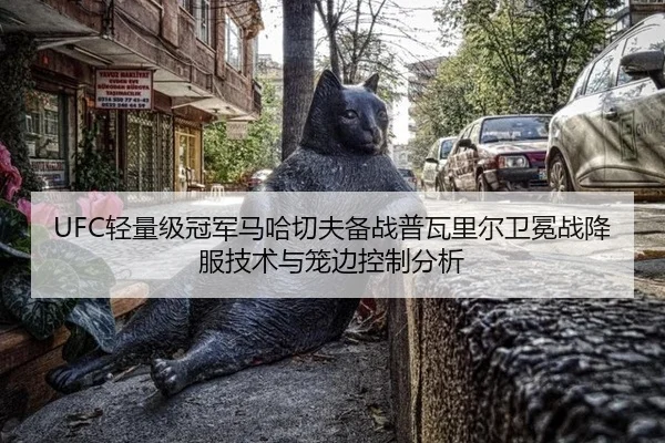 UFC轻量级冠军马哈切夫备战普瓦里尔卫冕战降服技术与笼边控制分析